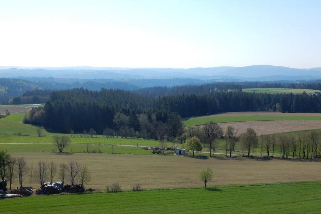 Photo of Outdoor in Wilhelmsthal