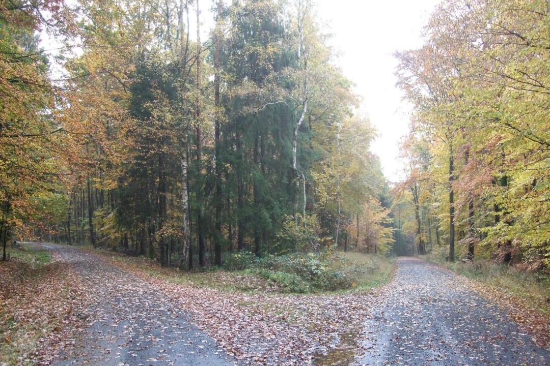 Photo of Others in Stadtlauringen
