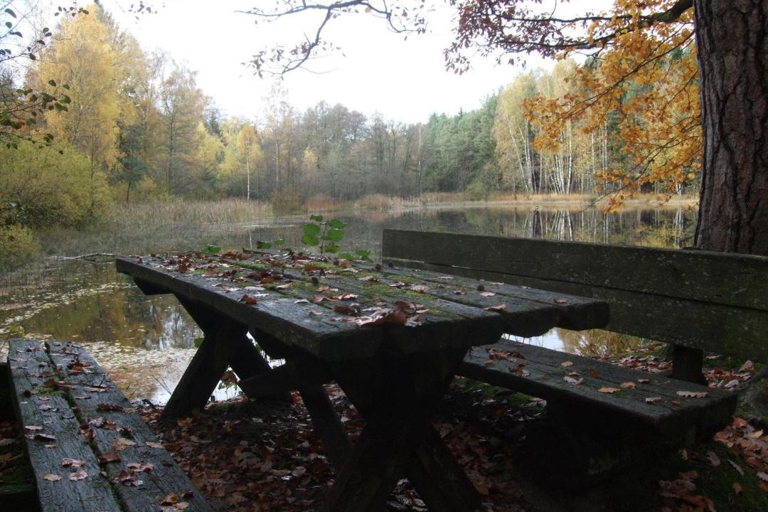 Photo of Others in Stadtlauringen