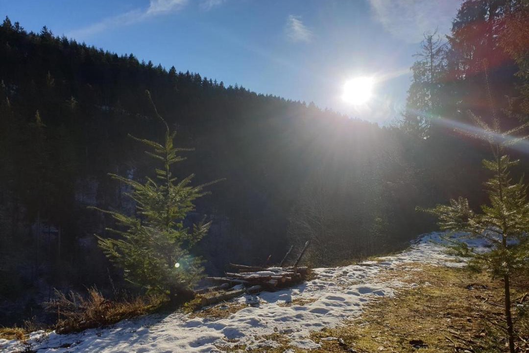 Photo of Outdoor in Wilhelmsthal