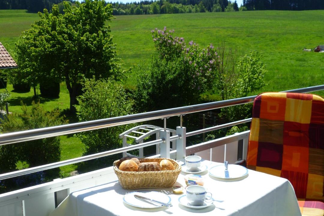 Photo of Patio Balcony in Christazhofen