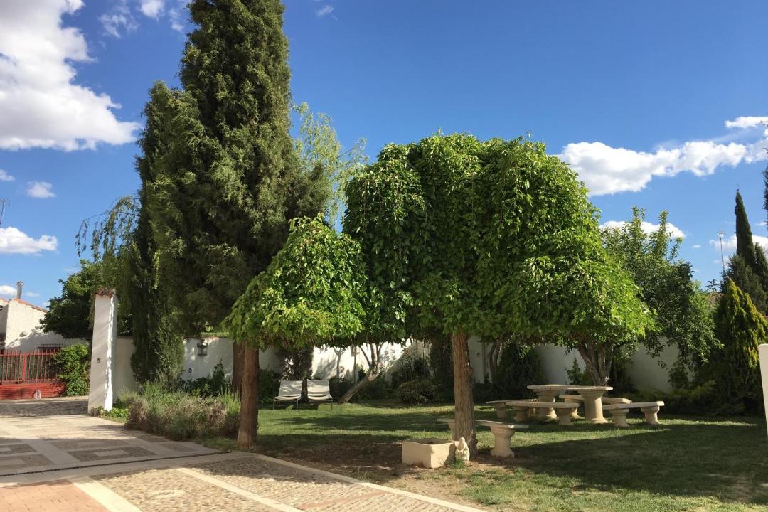 Photo of Others in Chinchon