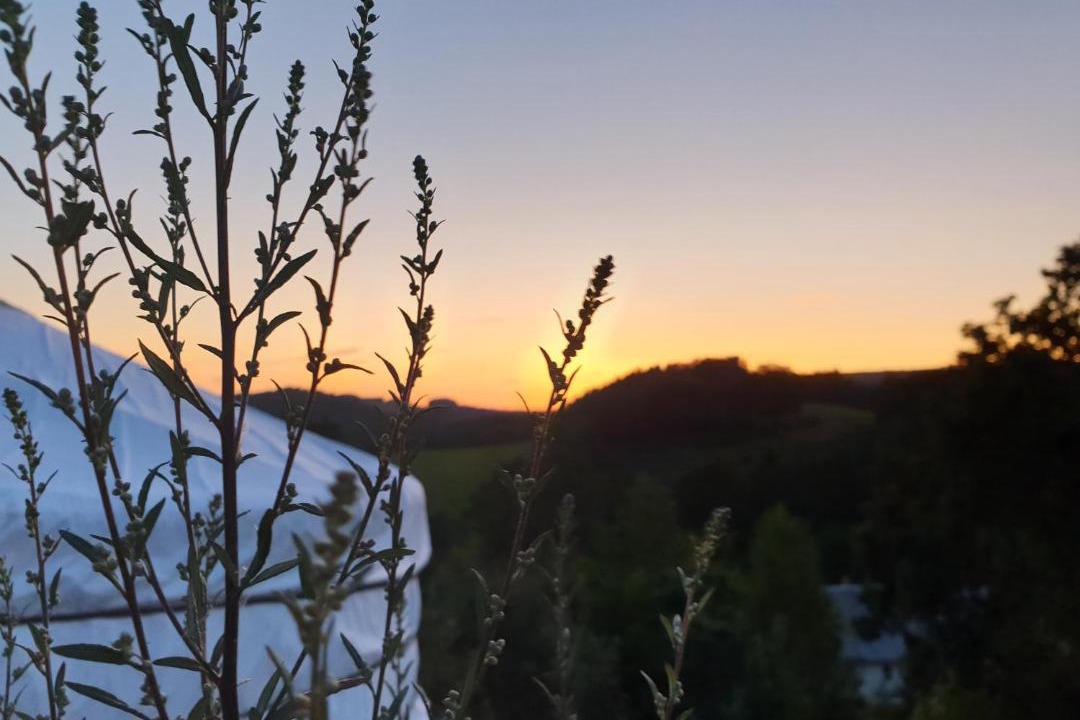 Photo of Outdoor in Sebnitz