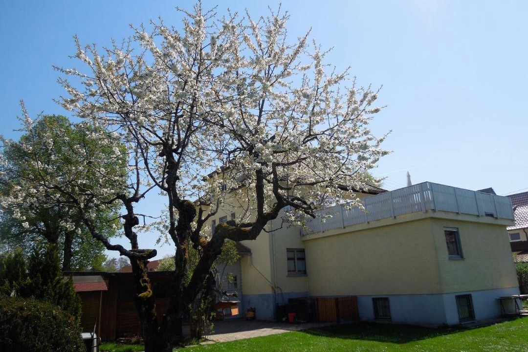 Photo of Outdoor in Isny im Allgaeu