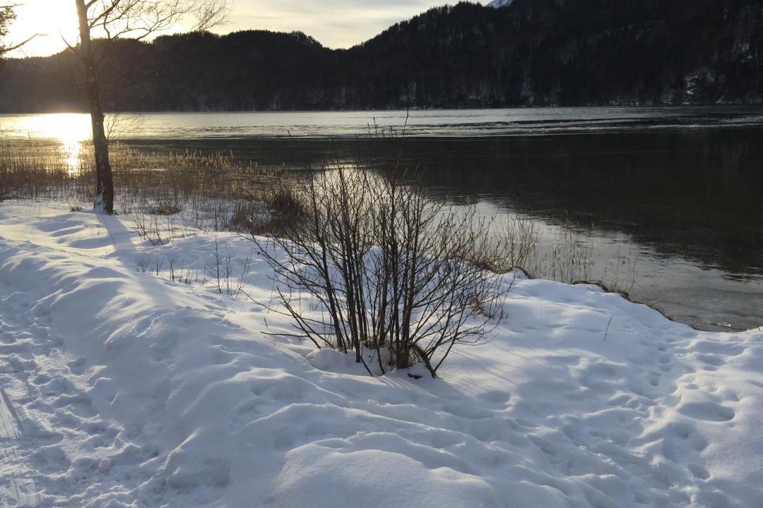 Photo of Outdoor in Schwarzenbach