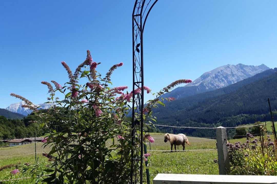 Photo of Others in Ramsau bei Berchtesgaden