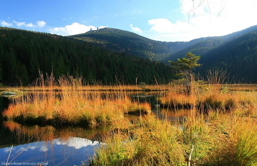 Photo of Outdoor in Bodenmais