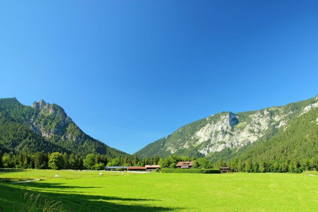 Photo of Others in Winkl