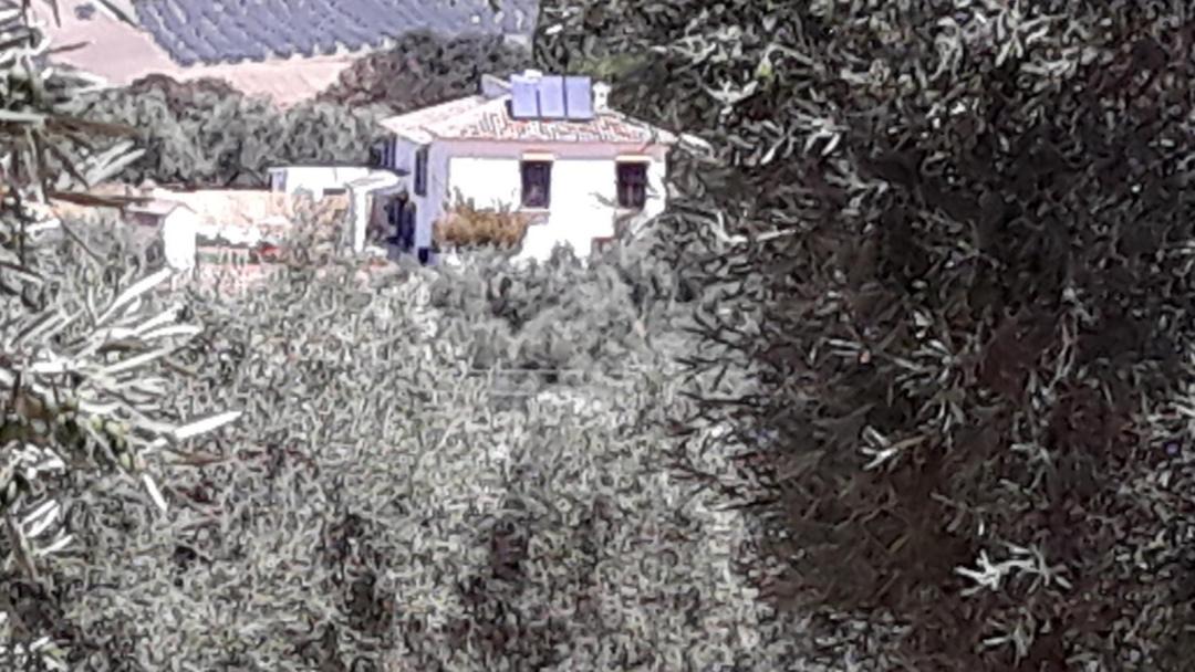 Photo of Others in Villanueva del Rosario