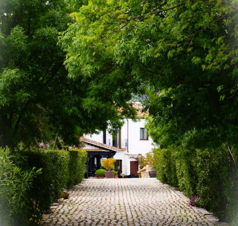 Photo of Others in Montecorto