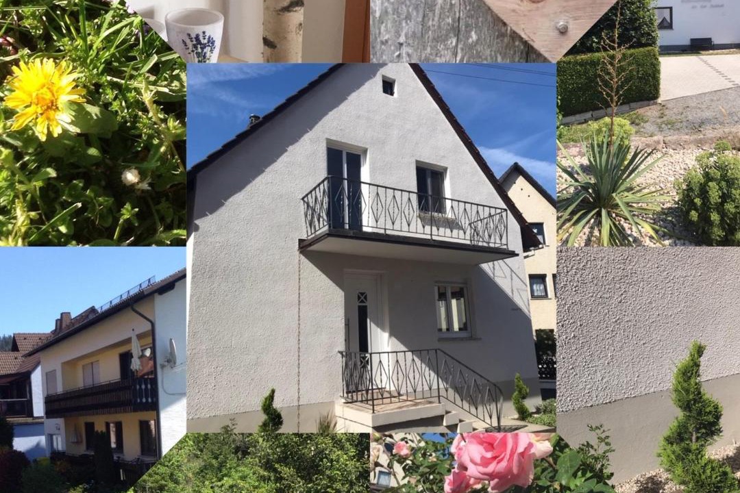 Photo of Others in Steinwiesen