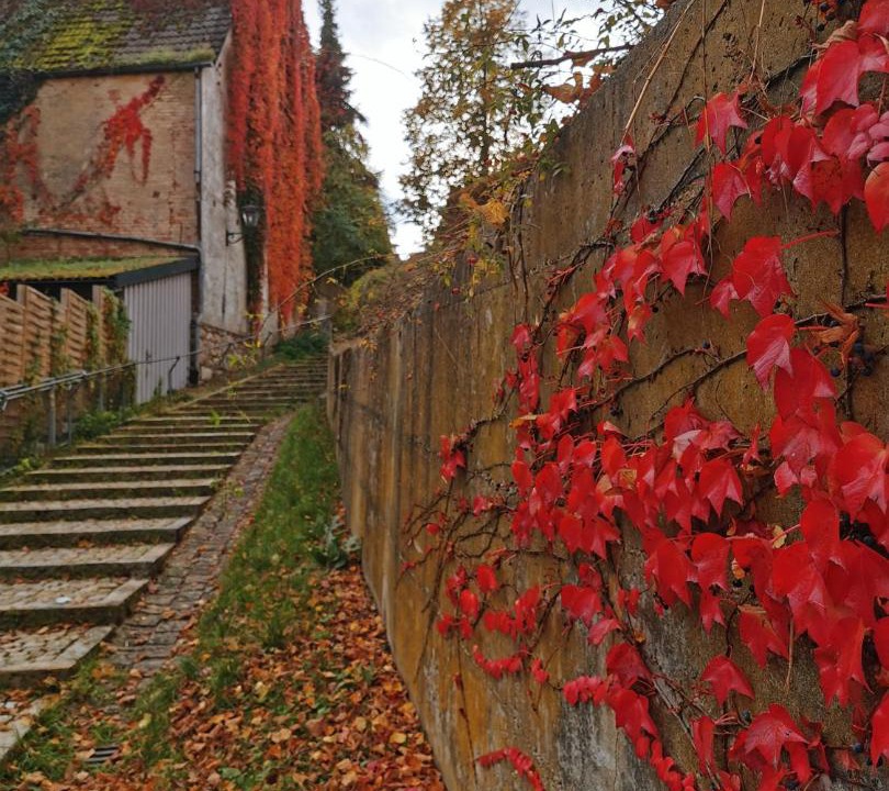 Photo of Others in Siegenburg