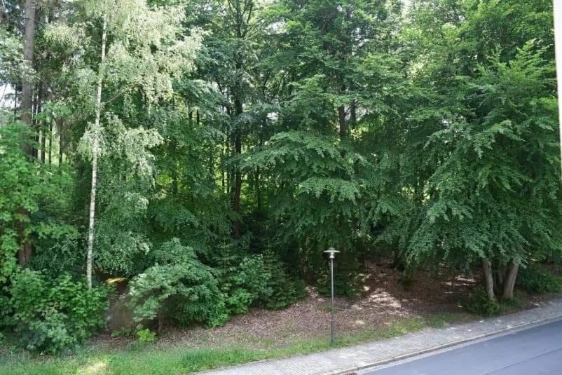 Photo of Others in Wunsiedel