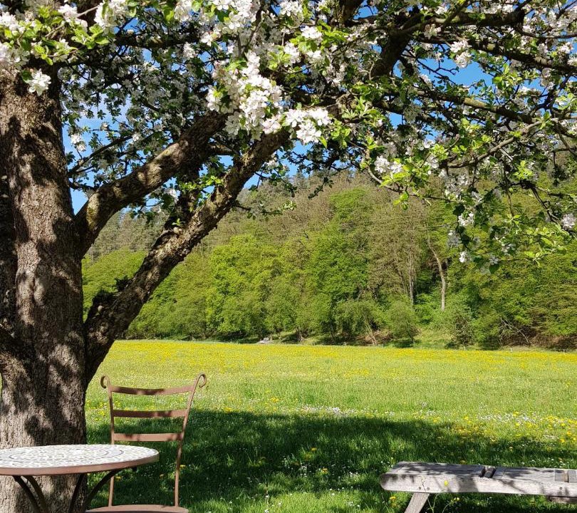 Photo of Others in Waldkraiburg