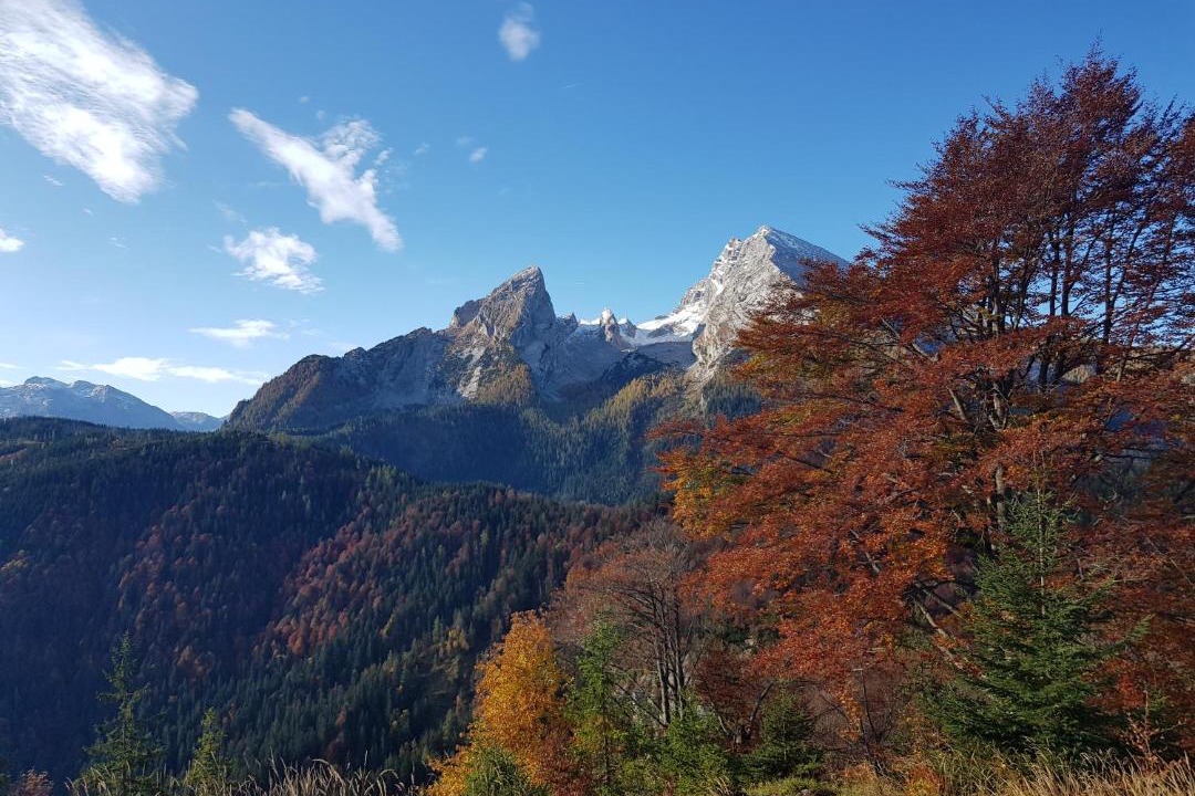 Photo of Others in Oberschonau