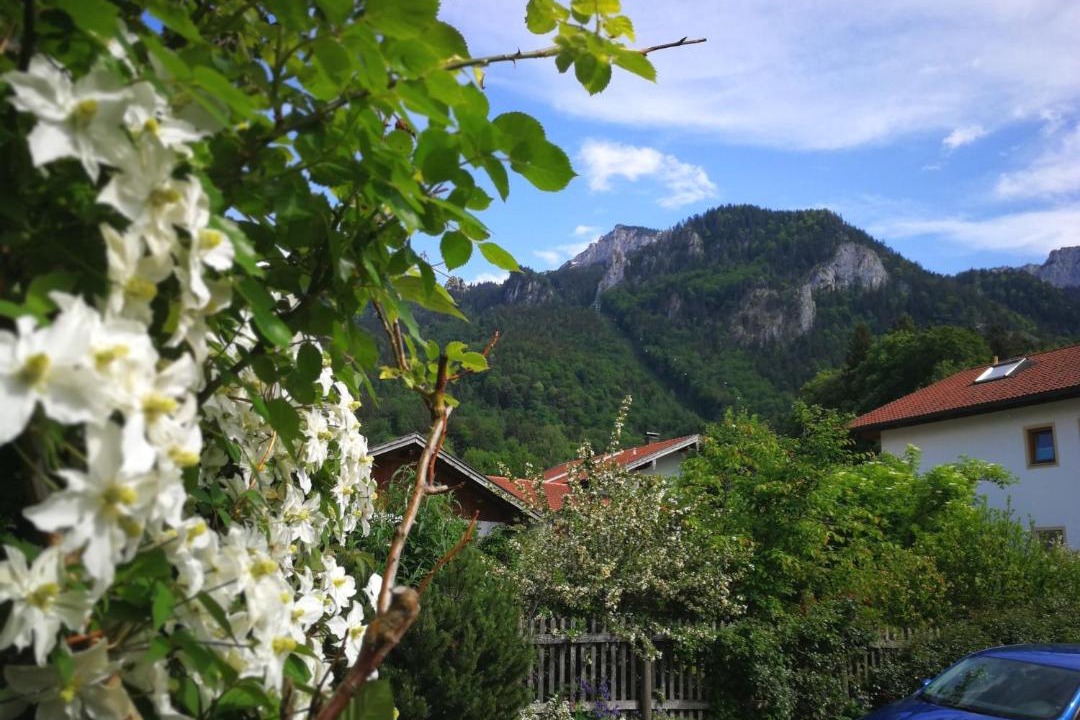Photo of Others in Hohenaschau im Chiemgau