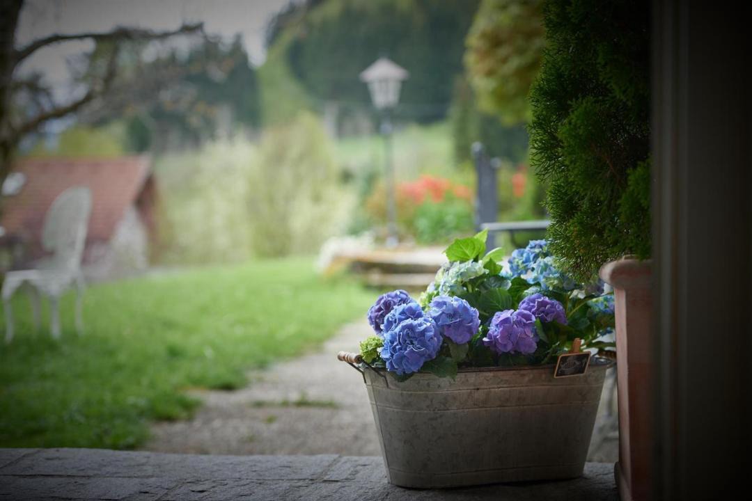 Photo of Others in Ettensberg