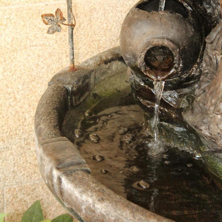 Photo of Others in Santiago de Compostela