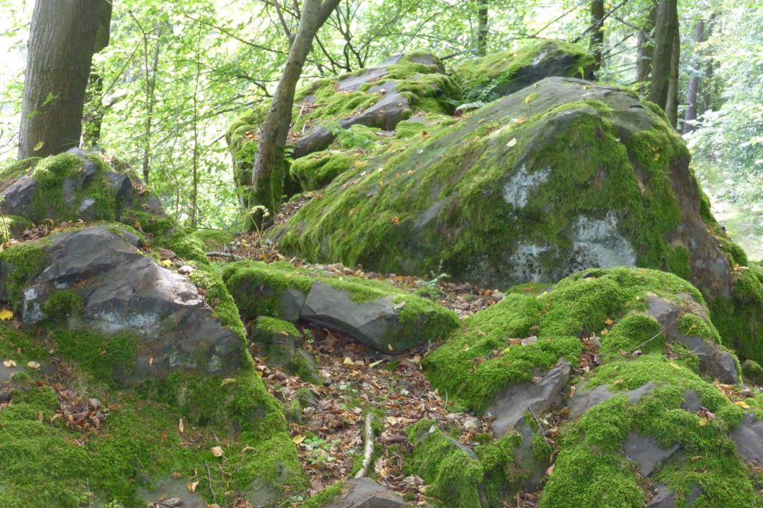 Photo of Others in Thiersheim