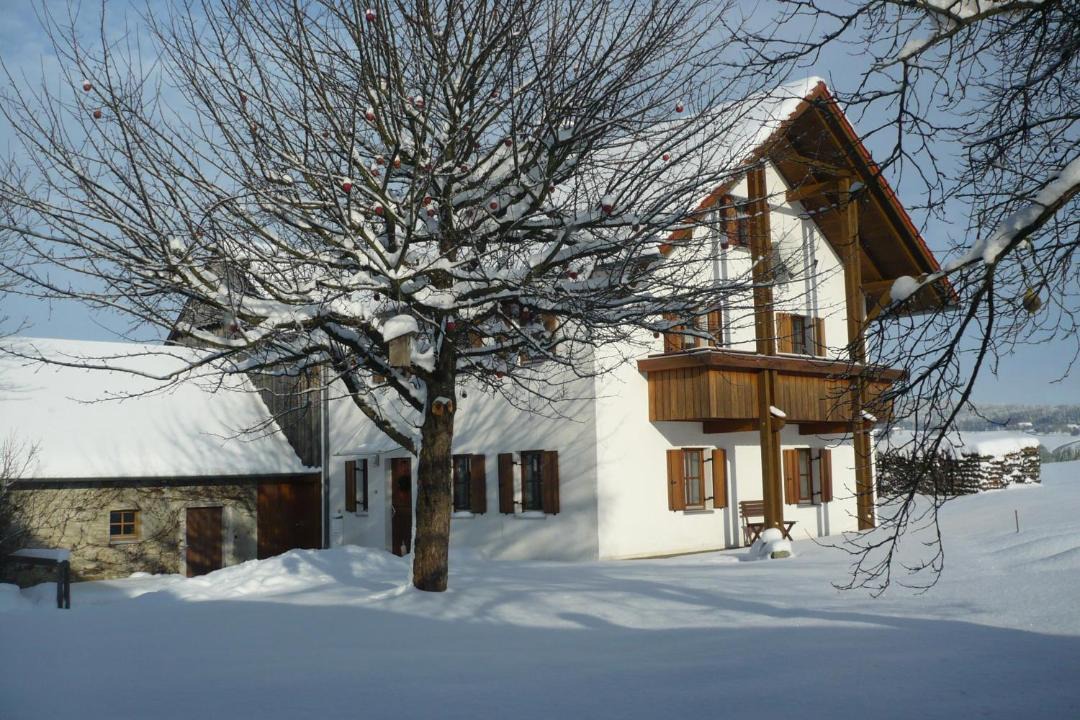 Photo of Buildings in Tiefenbach