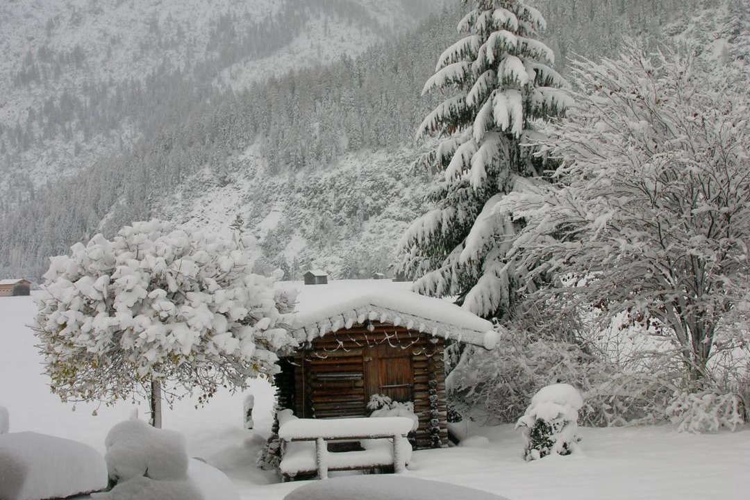 Photo of Others in Holzgau