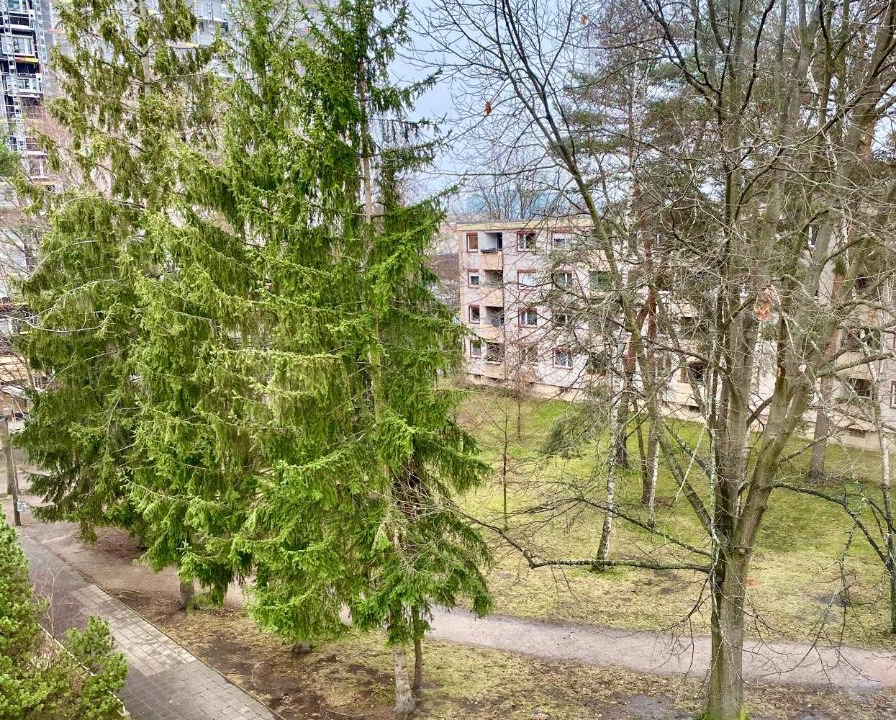 Photo of Others in Langwasser Nordwest