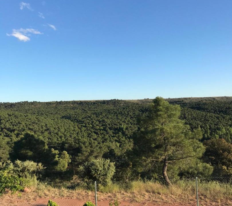 Photo of Outdoor in Siguenza