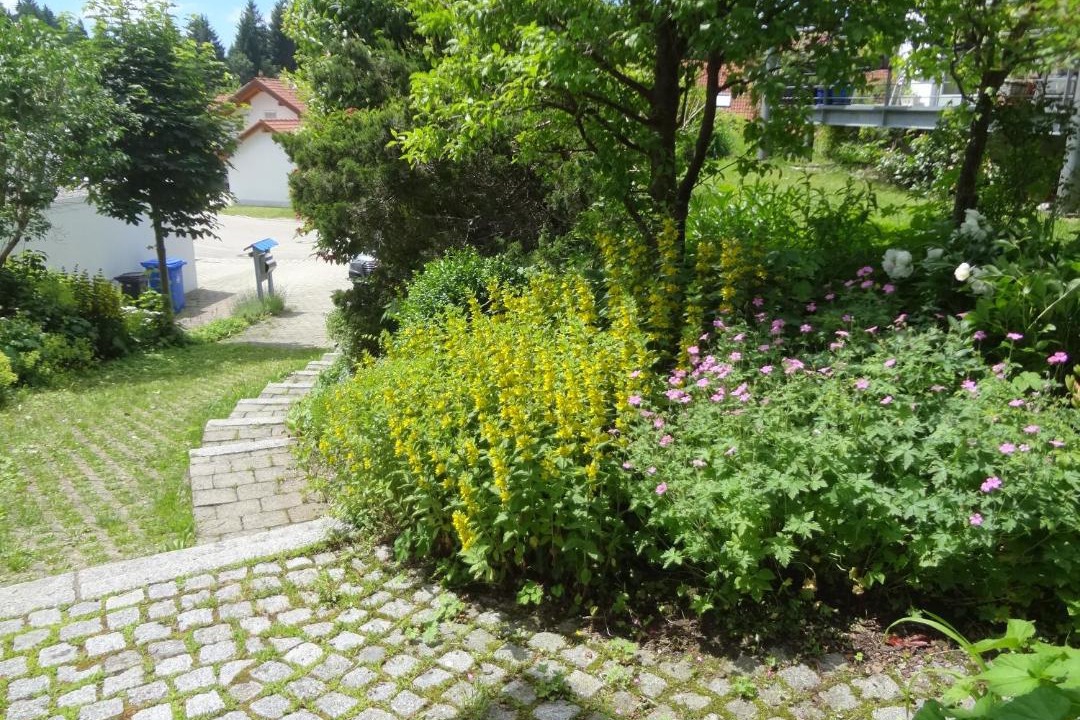 Photo of Others in Buchenberg