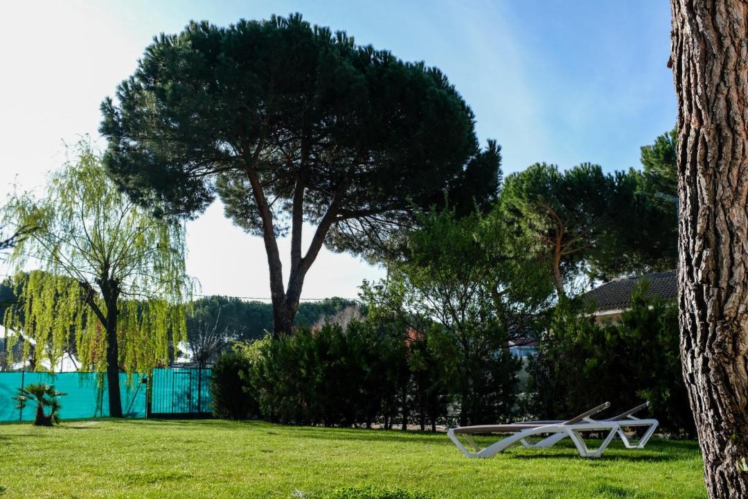 Photo of Others in El Campillo