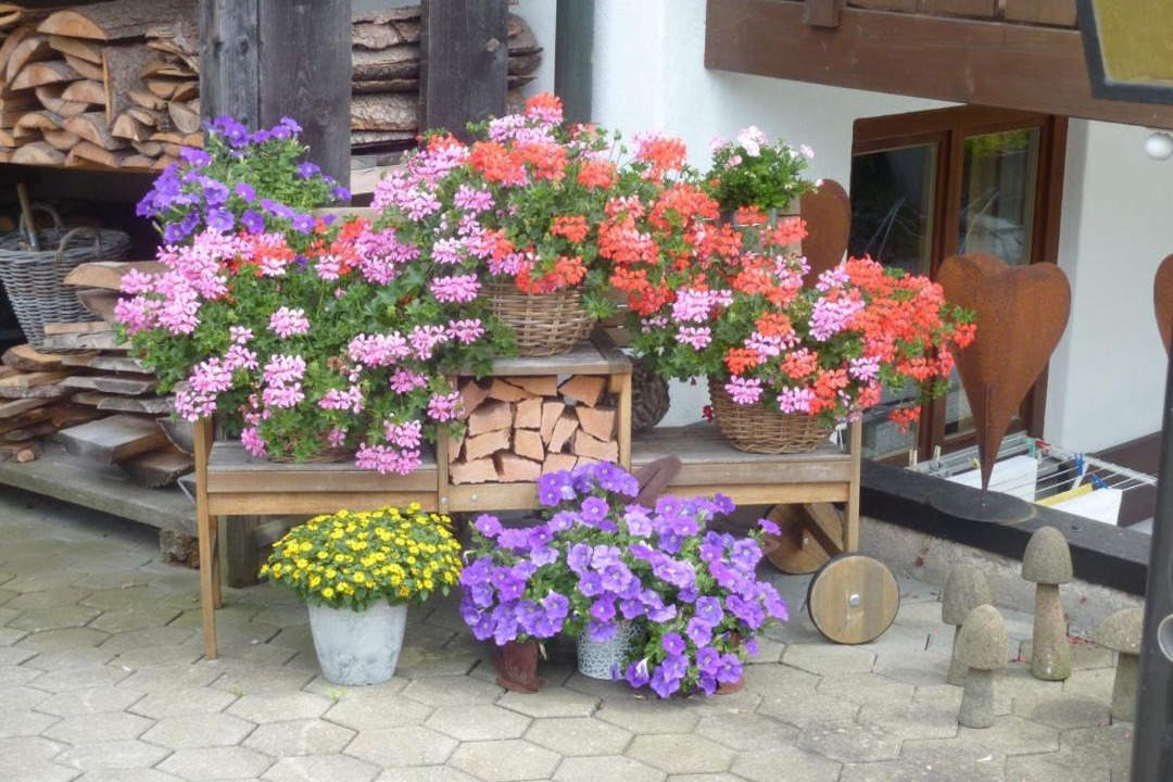 Photo of Others in Obermaiselstein