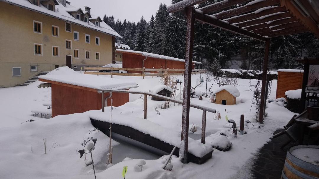 Photo of Others in Reutte