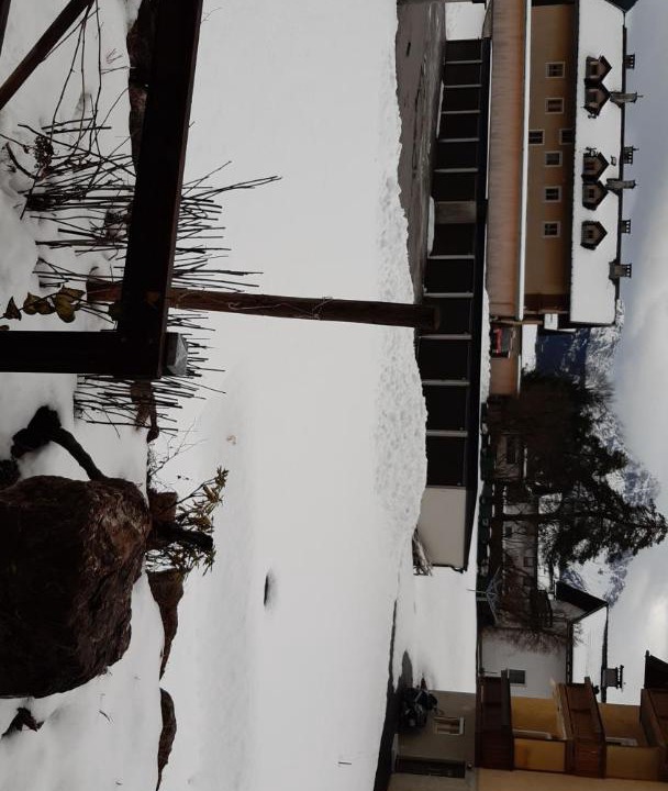 Photo of Others in Reutte