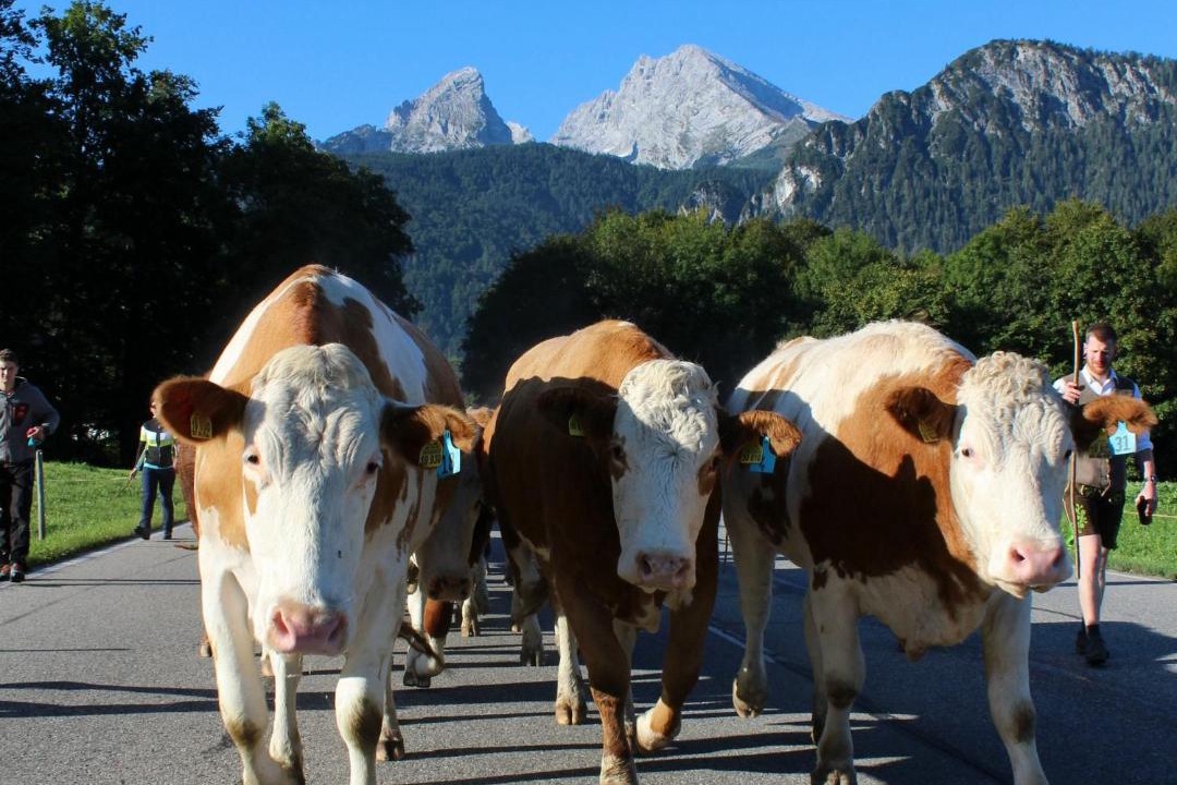 Photo of Others in Bischofswiesen