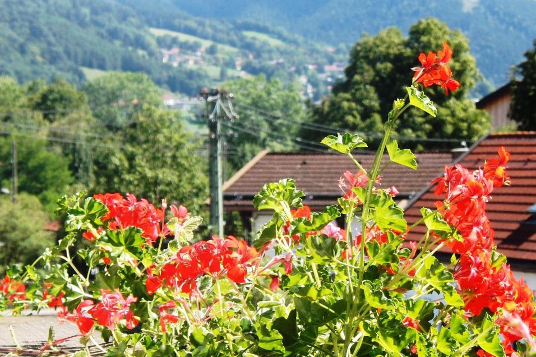 Photo of Others in Bad Wiessee