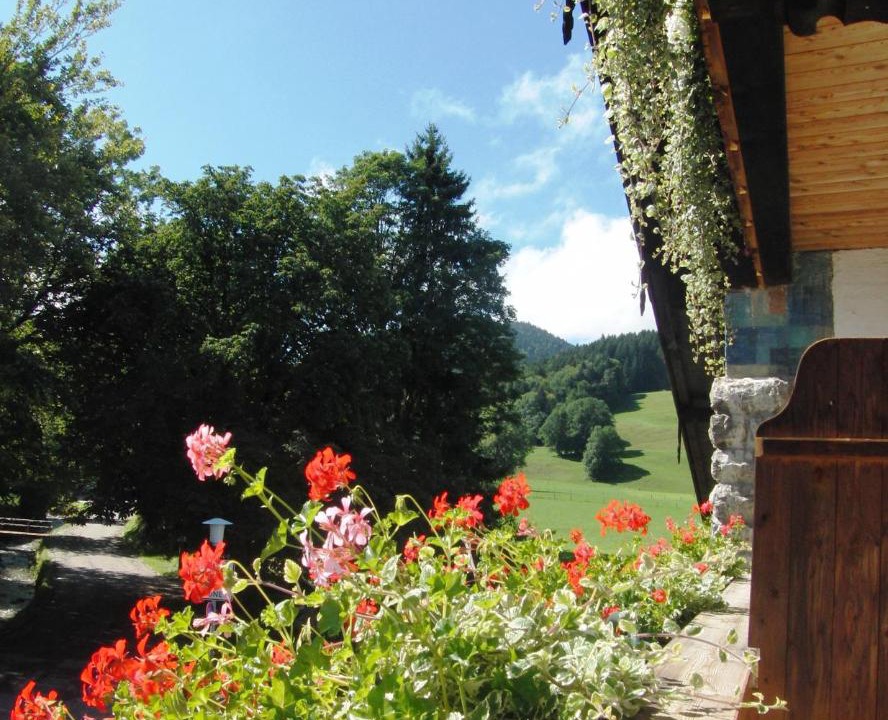 Photo of Others in Bad Wiessee