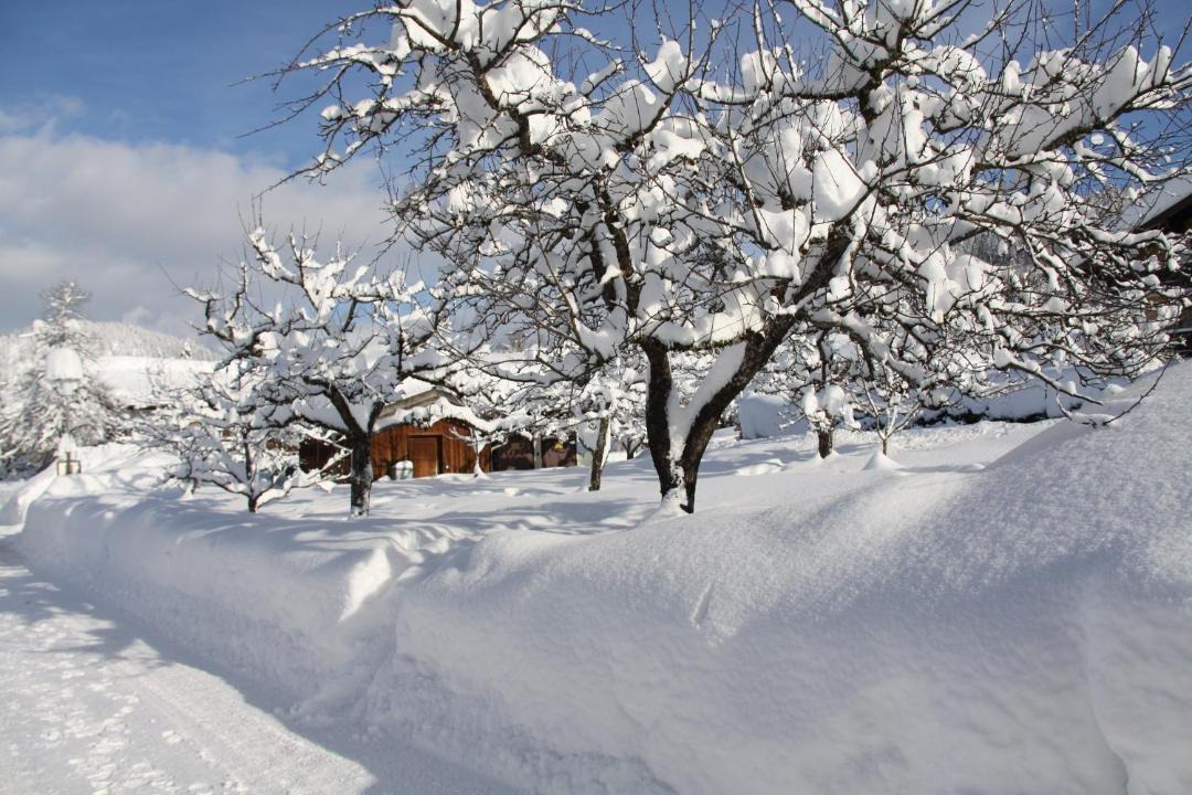 Photo of Others in Blindau