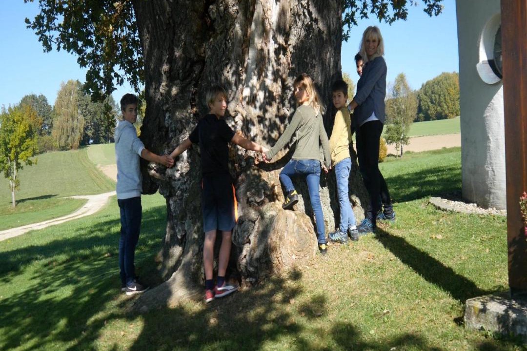 Photo of Others in Unterallgau