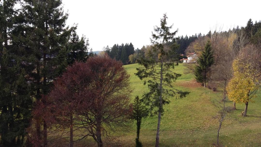 Photo of Outdoor in Sankt Englmar