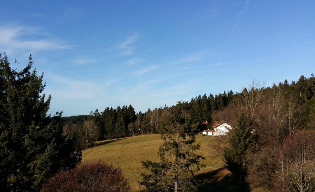 Photo of Outdoor in Sankt Englmar