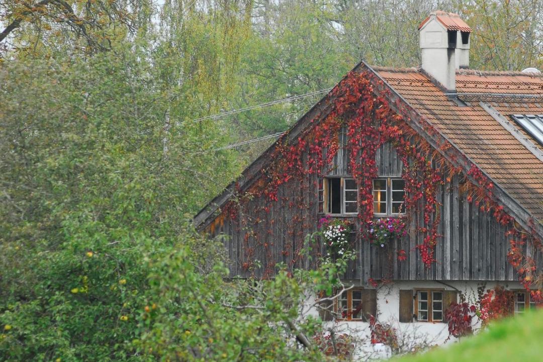 Photo of Buildings in Pitzling