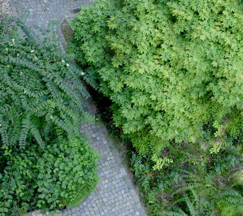 Photo of Others in Straubing