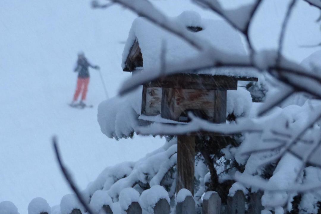 Photo of Others in Serfaus