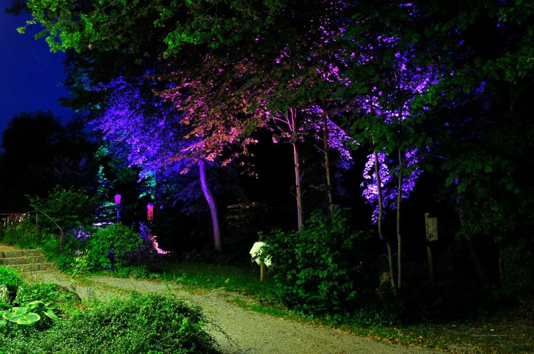 Photo of Others in Bad Heilbrunn