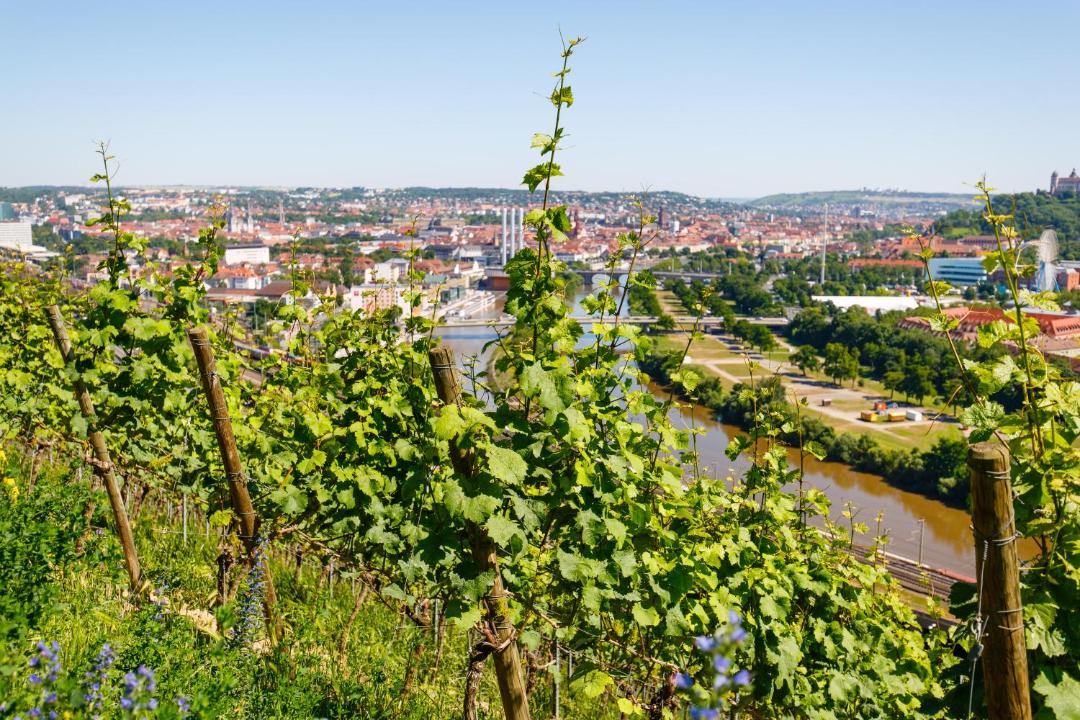 Photo of Others in Unterdurrbach