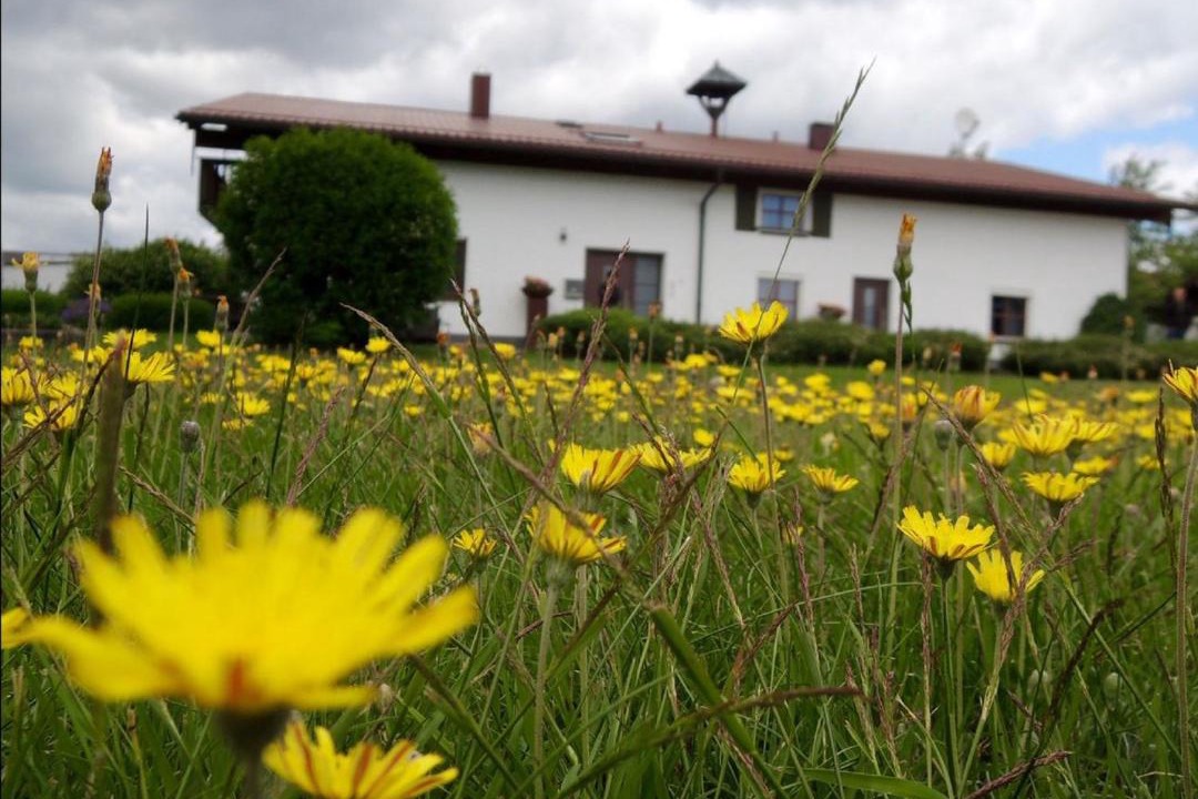 Photo of Others in Zwolfhauser