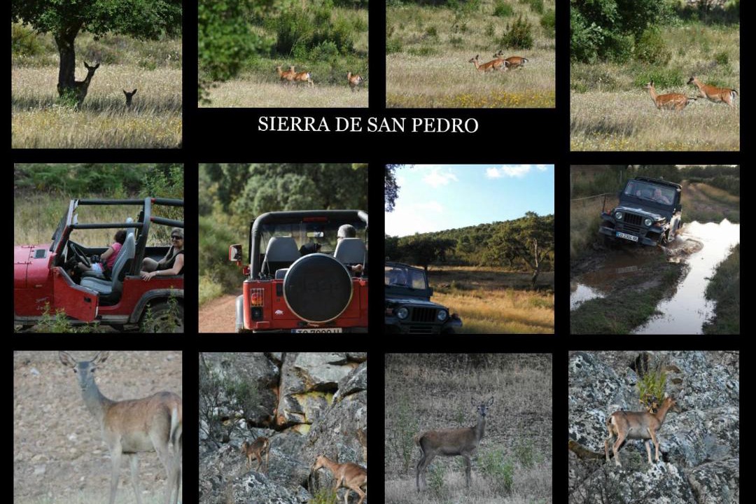 Photo of Others in Casar de Caceres