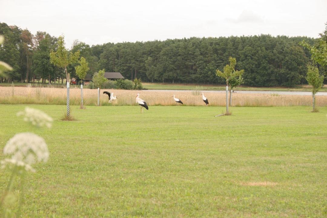 Photo of Others in Hessdorf