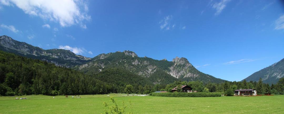 Photo of Others in Winkl