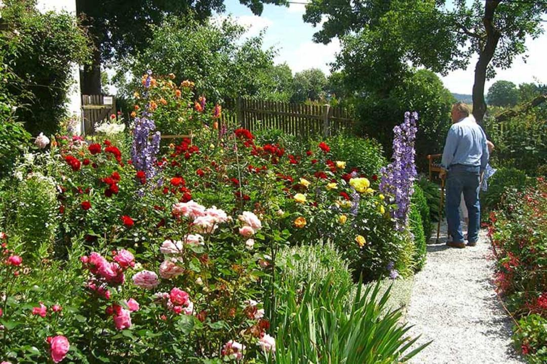 Photo of Others in Berg