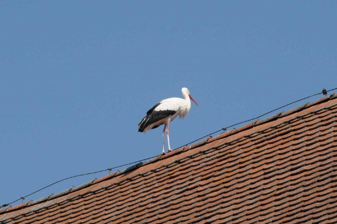 Photo of Others in Merkendorf